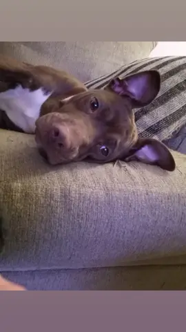 My beautiful girl