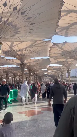 Inilah kota termegah di dunia sesungguhnya 🇸🇦❤️  Indahnya kota Rasulullah 😭😭 sumber : hobbyjalan11 #makkahmadinah #umrohtravel #travelmadinah #mekkahmadinahaqsha #viralindonesia #umrohhemat #masjidaesthetic #sharingiscaring #uhudmadinah #madinahmunawwarah #vibesmadinah #cinematicmasjid #mekkah #makkahaesthetic #madinahaesthetic #haji #infoumroh #umrah #makkah #madinah #umrohmurah 