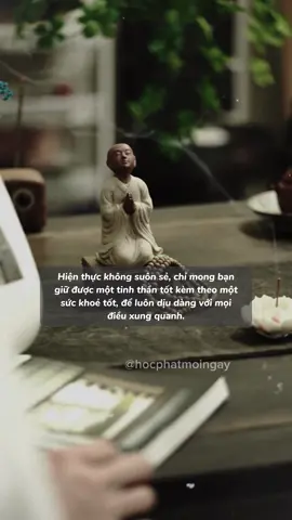 Mong bạn bình an ❤️ #hocphatmoingay #phatphapnhiemmau #LearnOnTikTok #TikTokPromote #TryItWithTikTok #BookTok #khongdietkhongsinhdungsohai 