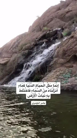 انما مثل الحياة الدنيا كماء انزلناه الى الارض #قران #ياسر_الدوسري #مثل #امثال #نجران_تستاهل #الحياة_الدنيا  #رحالكو #رحالكو١ #رحالكو٢ #rahalko #rahalko1 #rahalko2 #نجران #امير_و_مراد  