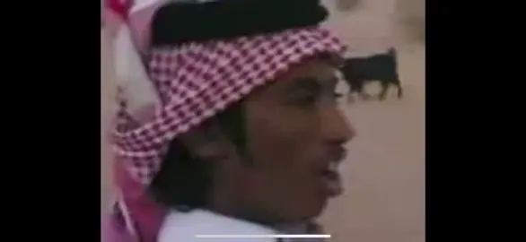 منهو ذا.        #تركي_الفين#تركي_الميزاني 