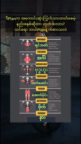 gym workout program #gym #workout #plan 