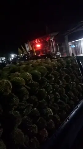 keberangkatan malam ini tujuan medan🔥#drivermuda #durianbalap🔥 #mrkaban44 #duriansibolga 