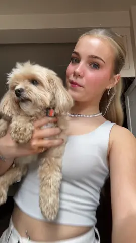 #CutestDog 