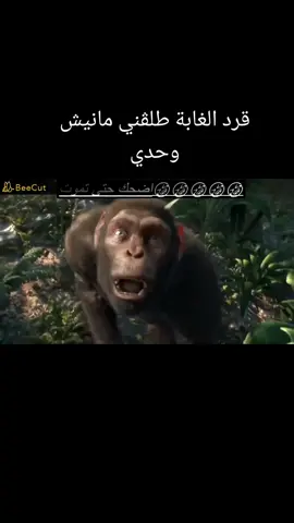 قرد الغابة طلڨني مانيش وحدي #قرد #قردة #الجزائر🇩🇿 #algerie #dz #dzpower #dzair🇩🇿 #3d #livetiktok #رقص #dance #fyp #viral #بوكابوس #بوكابوس😘💪☑️ #explore #pc 