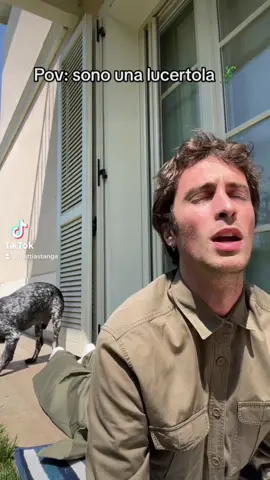 LUCERTOLA✨ #animali #lucertola #sole #estate #paura #cani #abbronzarsi #ragazzi #perte #neiperte #viral 