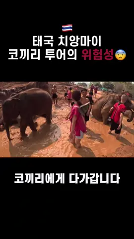 @야 너도 조심해;;