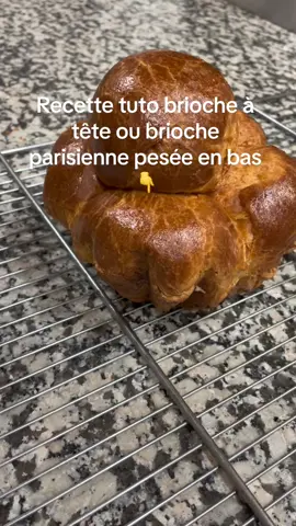 Recette tuto brioche à tête ou brioche parisienne  - Oeuf: 3gros oeuf ou 180g - Farine t45: 300g - Sucre: 35g - Sel: 6g - Levure boulangère: 10g - Beurre: 180g  Cuisson 180 degré pendant 35 a 40 minutes #brioche #briocheparisiene #briocheparisienne #boulangerie #boulanger #patissier #vienoiserie #faitmaison #pourtoi 