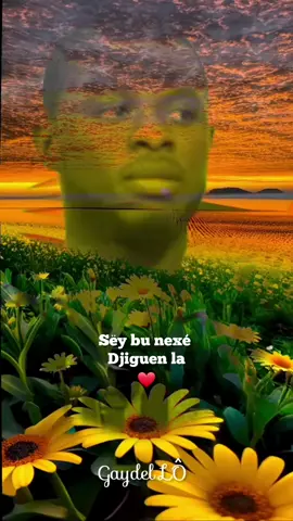 gor gu manul muñ du yor djiguen #gaydel_lo #bellecomportement #intressent #message #beauparole #mariage #homme #femme