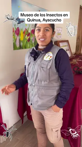 En Ayacucho, Heydi Yanqui ha creado un museo de insectos. Es biologa entomóloga y tiene una gran colección de insectos. Hay peruanas haciendo patria. Si vam por Ayacucho, visítenla. #Ayacucho #MuseoDeLosInsectos #miyawaylis #Warmikunas 