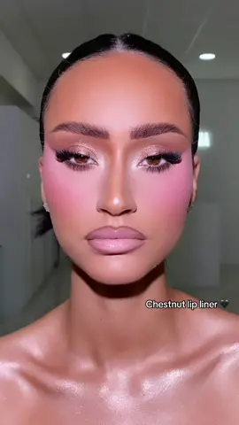 Nude lips 💗#makeup #foryou #fy #pourtoi #fypage #lips ##glam #fypシ #pinkblush #viralblush #blushtrend #contouring 
