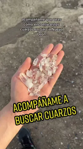 En Garcia, Nuevo León, México. #cuarzos #cristales #gemologia #mexico #nuevoleon #mining #crystals #mineria 