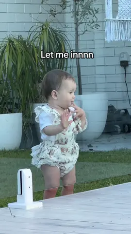 Its a hard life #babyingarden #cutebaby #letmein #letmeinplease #babygirl #babytiktok 