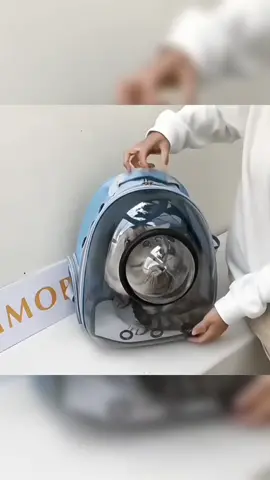 Ra đường mang e nó thì mình đảm bảo, hút mắt người xung quanh đến 99% nhé😍  Balo phi hành gia cho chó mèo là sản phẩm linh động cho bạn khi mang theo thú cưng của mình đi chơi. Thiết kế thông minh, thông thoáng giúp cho thú cưng của bạn thoải mái và an toàn khi di chuyển. #xuhuongtiktok #trend #thucung #cat 