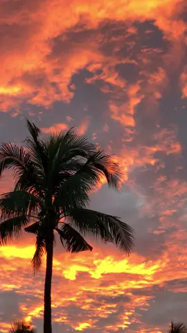 And when nobody knows how you feel… #foryoupage #sunset 
