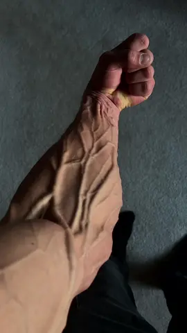 Venom #follow  #gymmotivation #Fitness #aesthetic #motivation #GymTok #transformation #batman #sigma #vascularity #veins #forearm #forearms 
