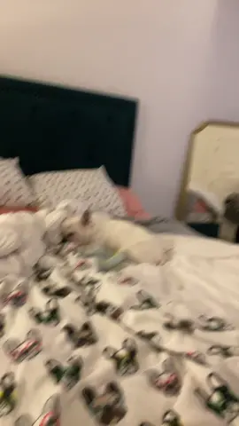 Dallas is serious abour her bed time 