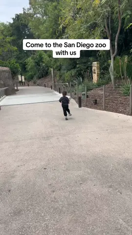 Family day at the zoo🥰🫶🏽 #sandiego #zoo #familytime #familiesoftiktok #westcoast #fyp 
