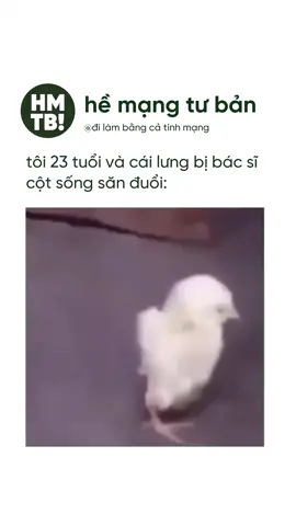 Chiếc lưng rốp rẻng #memes #meme #funny #funnyvideos #fyp #officelife #marketing 