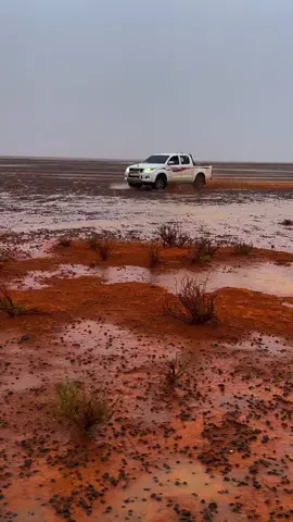 #هلي15 #ماشاءالله_تبارك_الله #امطاراليوم #👌🦅🦅💯 