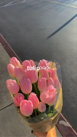 Membalas @nurabniadelia done ya kak 🤗 #tulip #bungatulip #fypシ 