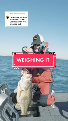 Replying to @HoodieKingTV My scale bounced around the low 14’s, but it was also wavy on the boat, and I did not want to hold the fish up for too long by the jaw. I just wanted to see if it was around the realm of 13 pounds, so I knew whether or not to take it in for the Sharelunker Program. I’d say its usually been an active scale👍🏼 #fishing 🎣