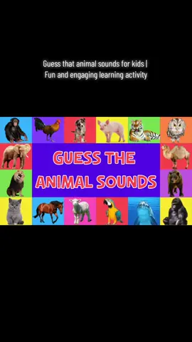 Join us as we explore the fascinating world of animal sounds and help your little ones learn to identify different animals by their unique sounds. This interactive game is perfect for kids aged 3-8 and will keep them engaged while they learn about the animal kingdom. Don't forget to like, share, and subscribe for more educational content from Little Dreamers Education!     #guesstheanimalsound#animalsoundsquiz#quessthesoundanimals#animalsoundguessgame#guesstheanimalsoundchallenge#LittleDreamersEducation#animalsoundsquizforkids#guesstheanimalsounds#animalsoundsgame#animalsoundsguessinggame#guesstheanimalsoundforkids#guessthesoundforkids#listeninggame