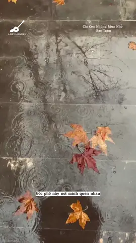 Chỉ Còn Những Mùa Nhớ - Bảo Trâm #lofichill #nhaclyrics #tamtrang 