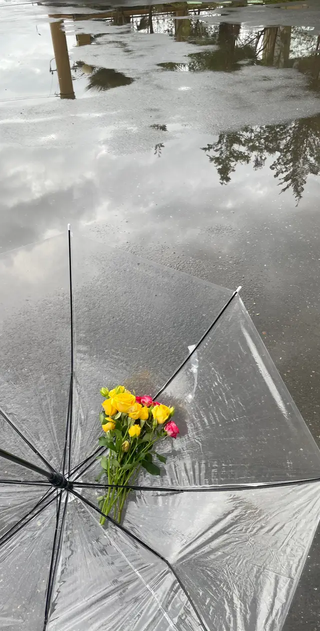 #explore #ابها #الجنوب #ترند #تجميعات  🤍🤍🤍🍃 .