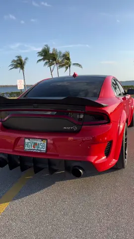 Sounds twice as tough with catless downpipes 🐈‍⬛ • • • • #hellcat #mopar #dodgeofficial #carven  #widebody #charger #americanmuscle #hemi #gomango #jltintake #widebodyhellcat #challenger #borla #mopardaily #moparworld #v8 #srt #mickeythompson #srtcharger #srtaddicts #trackhawk #srtpowered #redeye #chargerhellcat #moparnation #scatpack #dodgedemon #redeyecharger #catless 