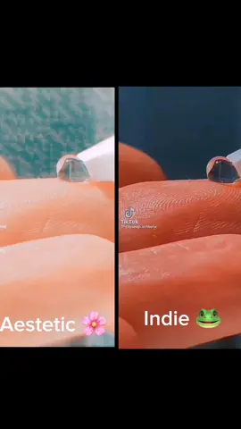 Which one? 🐸🌸 2020 og! #fyp #foryou #foryou# #lysm#ly#foryou#2020 #indie #aestic #aestetic #indiekid #style  #2020 #2020indie #2020aestetic #foryou #foryou #foryou#foryou #fyp#foto#fyp#foryou#foryou#foryou #foryoupageofficiall#foryoupage #foryou #foryou#foryou #fyp#foto #fyp#foryou #foryoupage #fyp #fyp#foryou #foryoupage #fyp #fyp#foryou #foryoupage #fyp #fyp#foryou #foryoupage #fyp #fyp#foryou #foryoupage #fyp #fyp#foryou #foryoupage 