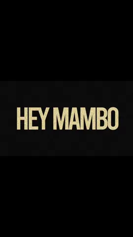 HEY MAMBO... OUT NOW ON YOUTUBE #fyp #fy #foryou #foryoupage #music #mamboitaliano #roadrvnner #remix