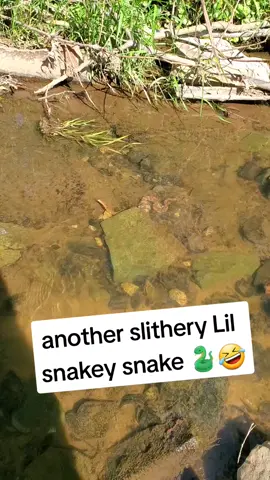 who likes snakes?? #adventure #fyp #foryou #antique #History #vintage #creek #bottle #snake 