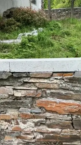 Does he want to play hide and seek?😅#panda #pandalife #pandasoftiktok #animalsoftiktok #cuteanimals #panda🐼 #funnyanimals #pandaexpress #fyp #foryou 