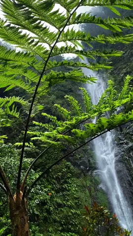 Kalo rame bakal sering post mentahan 🤭 #sedudo #sedudonganjuk #nganjukhits #rekomendasiwisatajatim #wisatanganjuk #wisatajatim #wisataalam #pemujamu #airterjunsedudo 