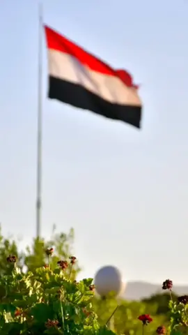 علم اليمن يرفرف مع موسيقى وطنية