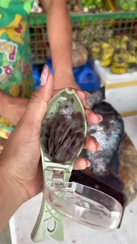 pangkaliskis ng isda #fishscaleremover #fishscalescraper #pangkaliskis #pangkaliskisngisda #scaleremover #fishscale 