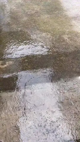 Quem aí gosta de uma WAPterapia? @POLISHOP #satisfying #satisfyingvideo #limpezasatisfatoria #lavador #WAP #foryoupage 