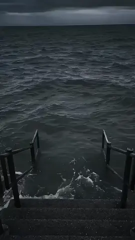 #funnyvideos #cat