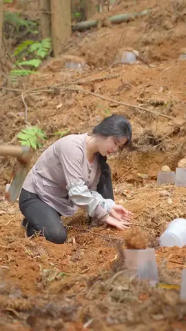 #amthuctrunghoa #cook #cooking 