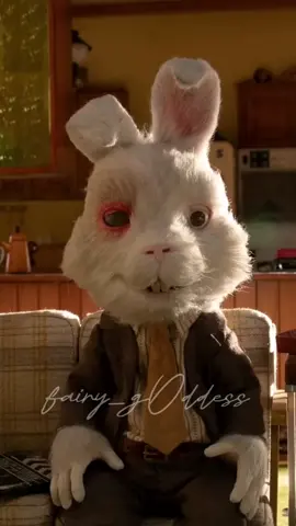 Stop la violence envers les animaux 💔 #pourtoi #experiment #stop #triste #viralvideo #lapin #animal 