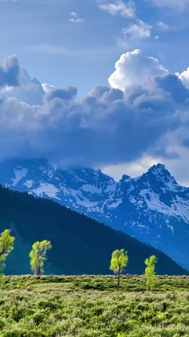 Our son graduates this weekend so we are having some much needed family time! Here’s a video from our campground at Grand Teton National Park 🏔️ #GrandTetons #GTNP #livingmybestlife #GrandTetonNationalPark #Graduation #Family 