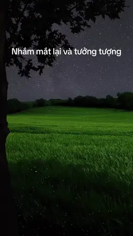 Nếu bạn đang stress hãy xem video này ! Nhắm mắt lại và tưởng tượng , thả hồn theo khung cảnh trong video,.. #thugian #relax #binhyen #fyp #anyen #tuoitho 