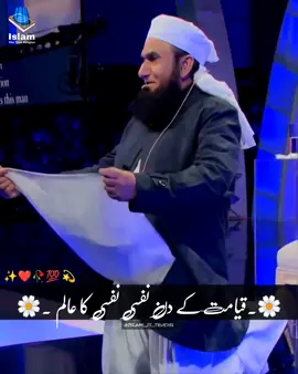 Qayamt ka manzir Hoga nafsi nafsi Alam Hoga✨🙂💯by Molana Tariq Jameel✨🌼❤️ #islam_is_true786 #tariqjameel #goviral #viral #islamic_media #molanatariqjameel #NewPepsiHitMeLike #islamic #islamzindabad #islamisthetruereligion #fypシ #islamic_video #viralvideo #beshak #islam #foryou #fyp #burhan_tv #foryoupage 