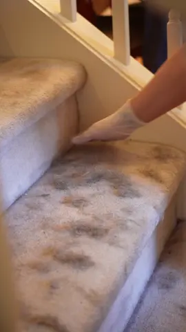 🐾 From Drab to Fab: Transforming Dog Hair on Stairs! 💫🧹 #ikcleaning #seattle #housecleaning #HomeCleaning #pethair 