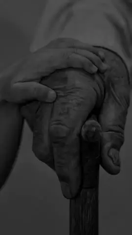 سوڕەتی ( الإسراء ) - القارئ : وليد ابراهيم