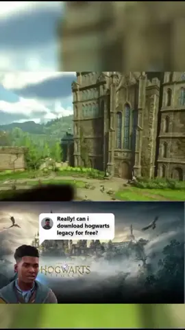 #hogwartslegacy #hogwarts_legacy #hogwartslegacymeme #hogwartslegacygameplay #foryou