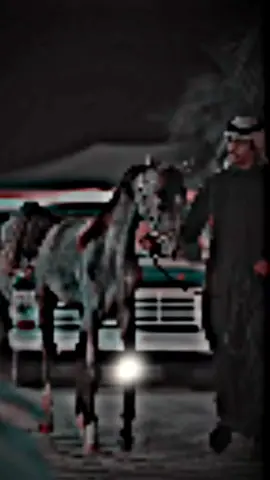 انا حقود ومتكبر ومغرور  #اكسبلووو #محظور #for 