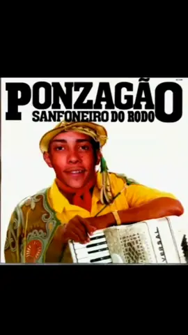 ponzagão do rodo 👍 #saojoao #saojoaonotiktok #pozedorodo #mcpoze #luizgonzaga #meme 