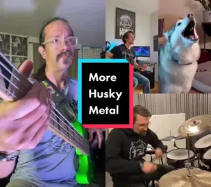 #duet with @Harry André Hansen that dog is barking the habit, tonight #tiktokbassist #thebretcrowshow #bassistsoftiktok #bassplayers #jammingwithfriends #primustiktok #addingbasstoduets #bassplayersoftiktok #linkinpark #linkinparkfan #linkinparkcover #linkinparkgivenup #numetaltiktok #huskysoftiktok #huskydoom  #Duet 